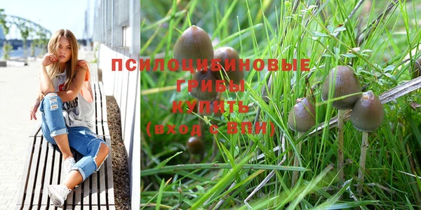 гашик Балахна