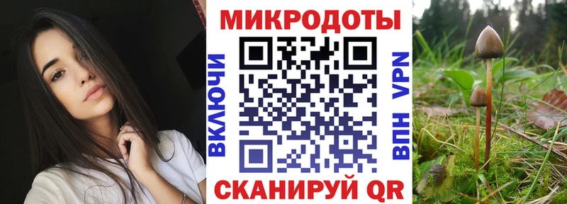 Псилоцибиновые грибы Psilocybine cubensis  Сенгилей 